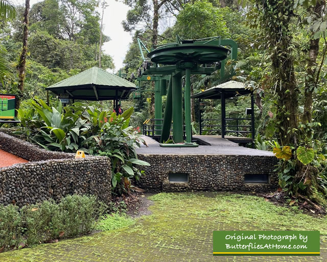 Entrance area for the Rainforest Adventures Aerial Tram
