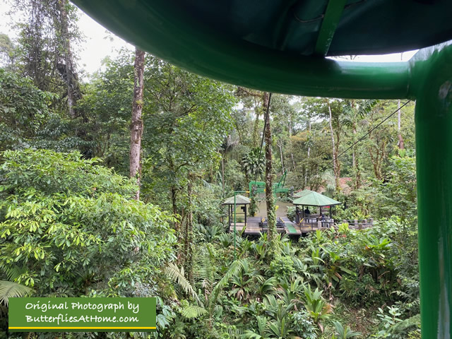 Approaching the end of the Rainforest Adventures Aerial Tram