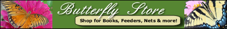 click to visit the Butterfly Store ... books, cages, nets, calendars, flags and more!