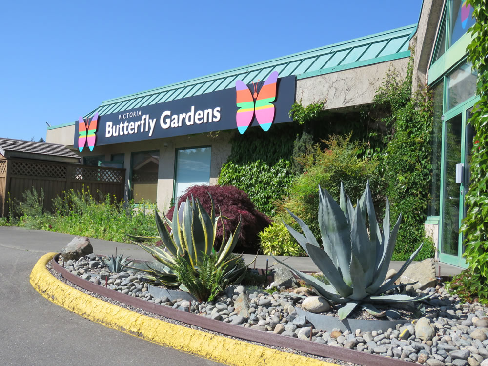 Victoria Butterfly Gardens on Vancouver Island, British Columbia